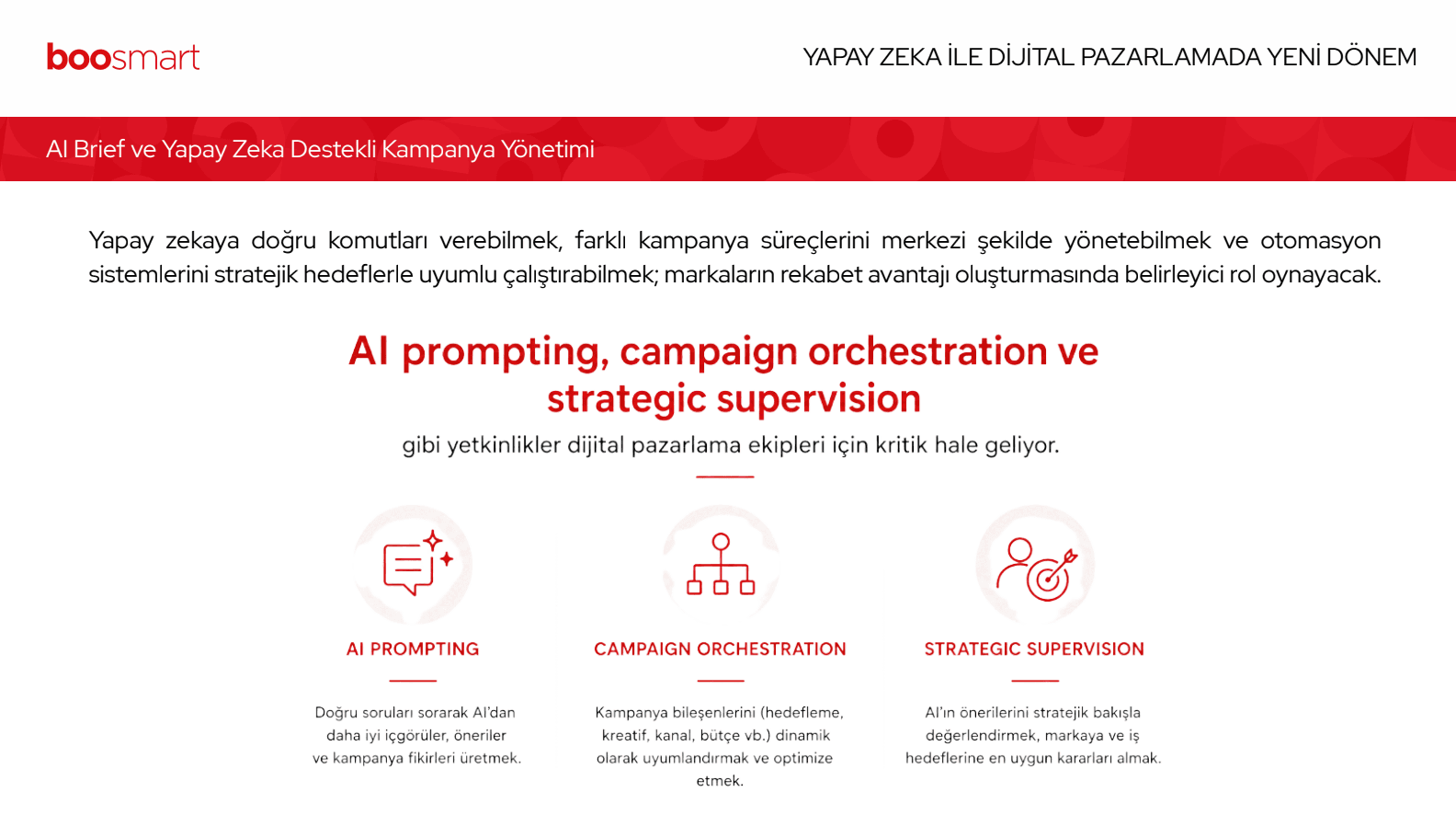 Sunum Slide 3